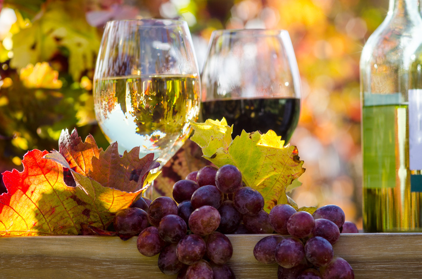 Weinprobe: Weiß- und Rotweine mit europäischem Flair am 25. September 2026 - Eintrittskarte 